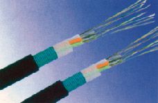 交聯聚乙烯絕緣電力電纜